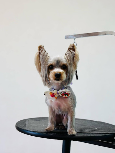 しぇりちゃん♡