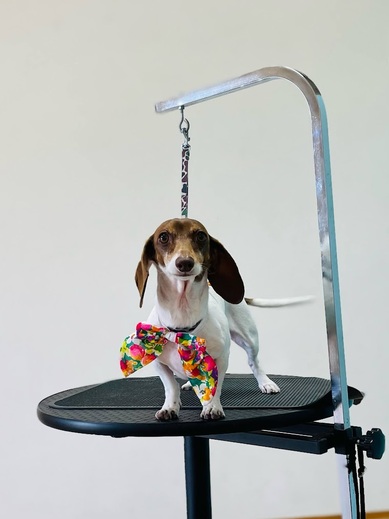 コロンちゃん♡