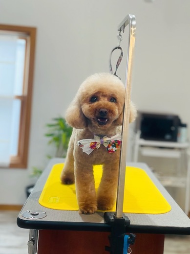 シェリーちゃん♡