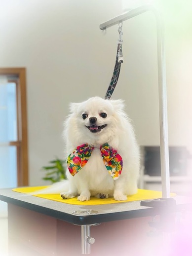 ふくちゃん♡まめくん♪