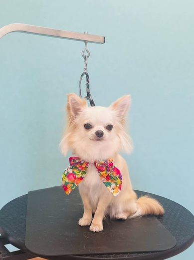 ふくちゃん♡まめくん♪