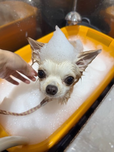 ふくちゃん♡まめくん♪