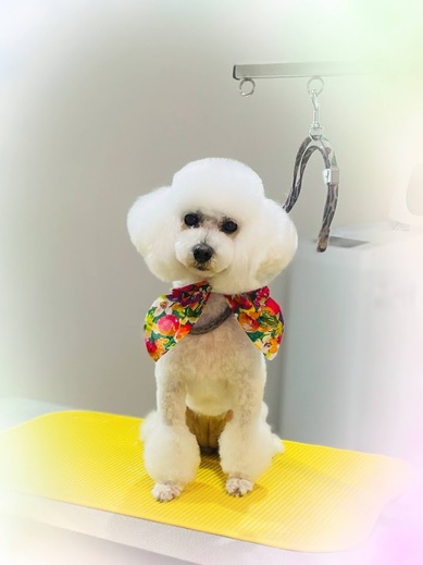 チバリーちゃん♡