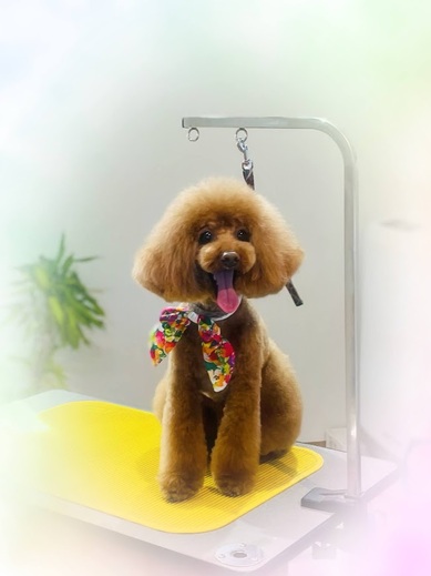 クッキーくん♪るるちゃん♡