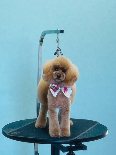 クッキーくん♪るるちゃん♡