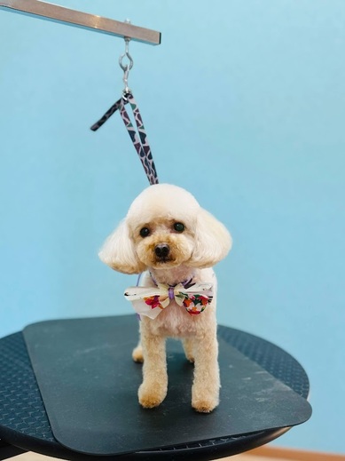 ひらりちゃん♡