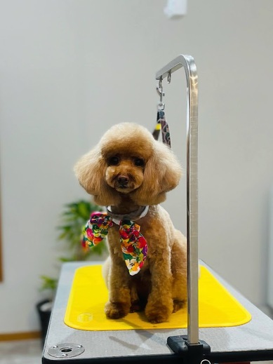 ルルちゃん♡ココちゃん♡