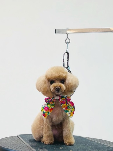 ルルちゃん♡ココちゃん♡