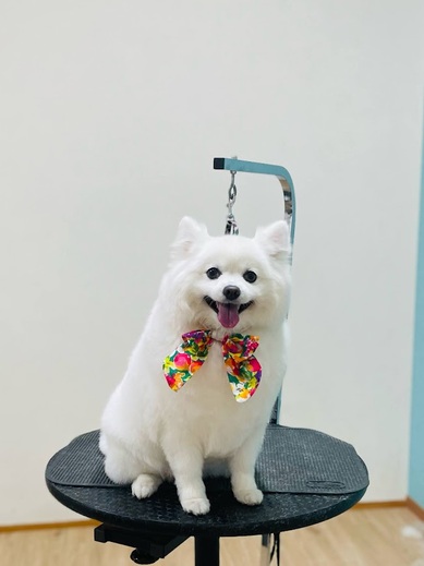 クルムちゃん♡