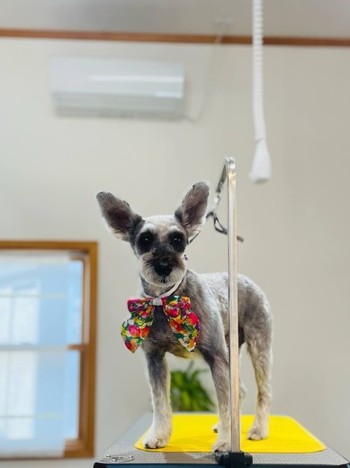 あん子ちゃん♡