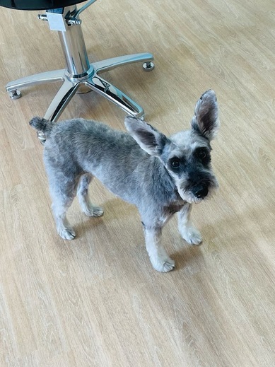 あん子ちゃん♡