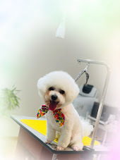 ブランくん♪ルークくん♪