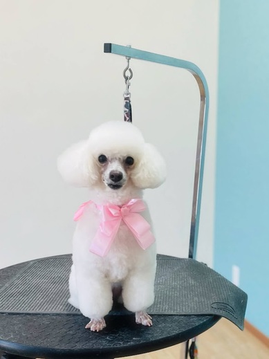 リリーちゃん♡