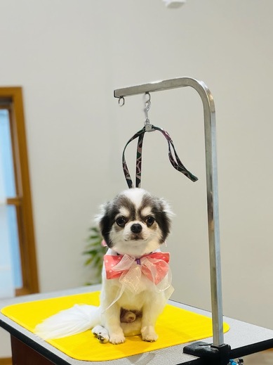 うゆくん♪ビビくん♪