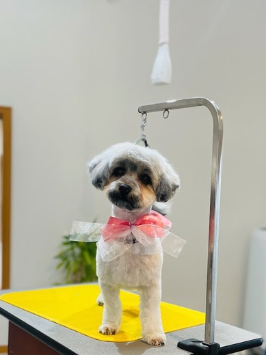 モンチちゃん♡