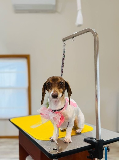 コロンちゃん♡