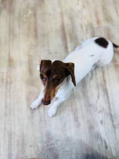 コロンちゃん♡