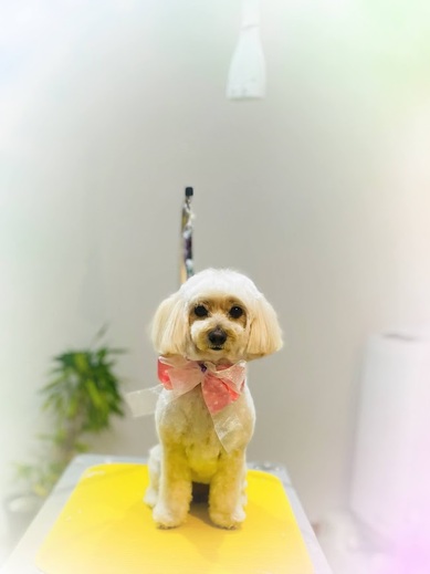 シェリちゃん♡