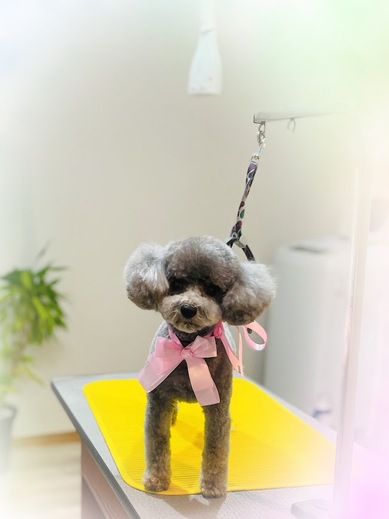 こまりちゃん♡こはるちゃん♡