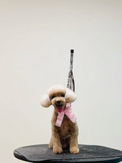 こまりちゃん♡こはるちゃん♡