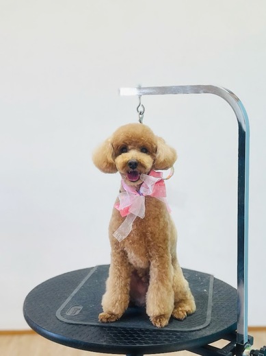 こたろうくん♪