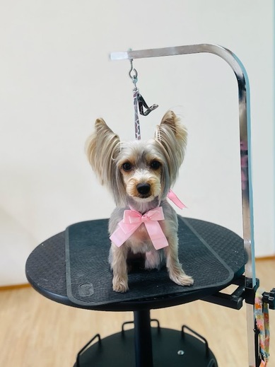 しぇりちゃん♡