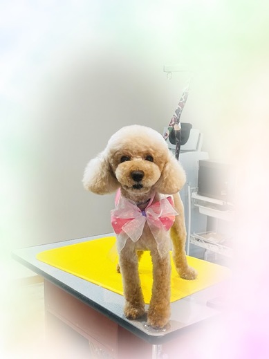 こたろうくん♪