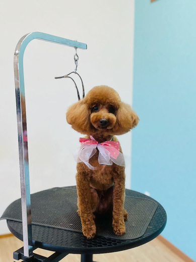 ブランくん♪アリスちゃん♡