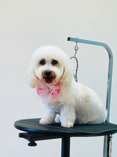 ハクくん♪ジジくん♪