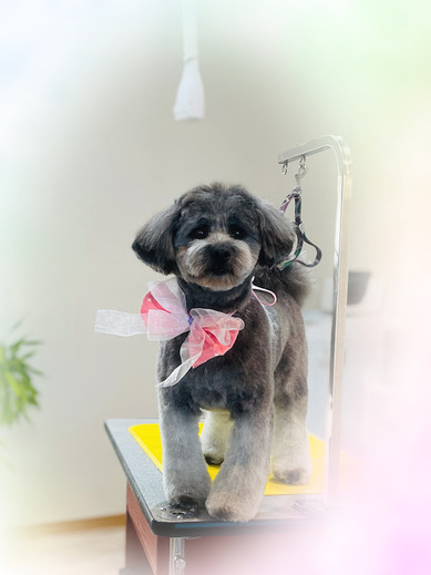 ハクくん♪ジジくん♪