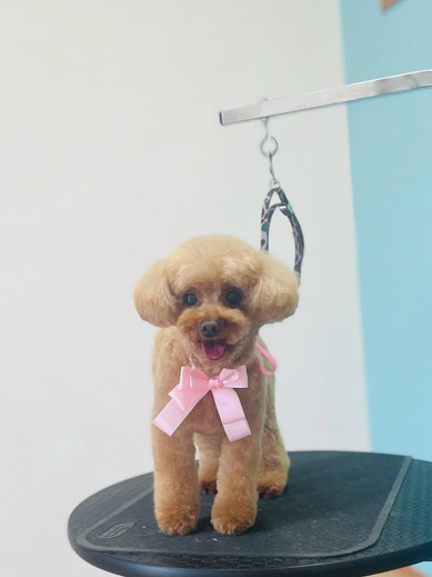 シェリーちゃん♡