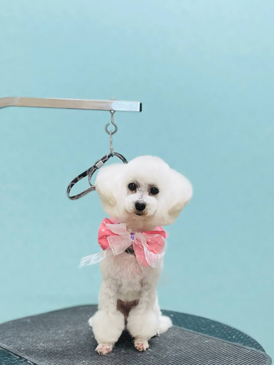 チバリーちゃん♡