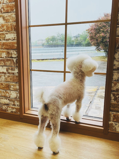 チバリーちゃん♡