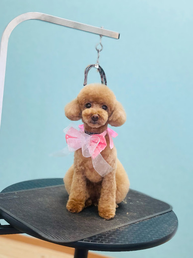 ルルちゃん♡ココちゃん♡