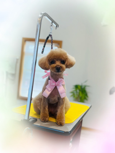 ルルちゃん♡ココちゃん♡