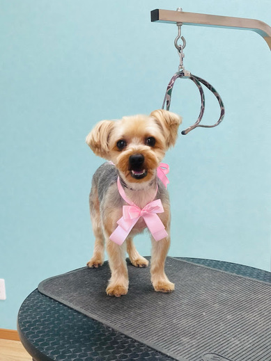 心くん♪ケンくん♪