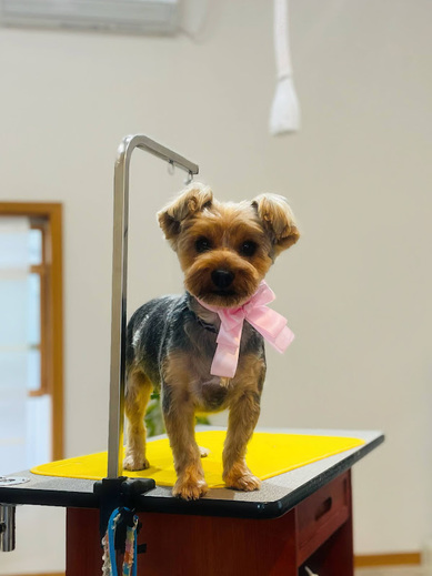 心くん♪ケンくん♪