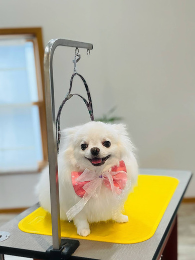 ふくちゃん♡まめくん♪