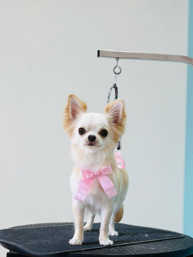 ふくちゃん♡まめくん♪