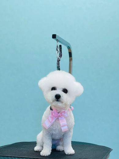 パルムちゃん♡