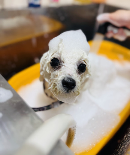 パルムちゃん♡