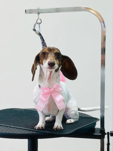 コロンちゃん♡