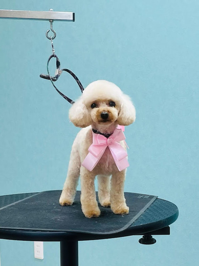 ひらりちゃん♡