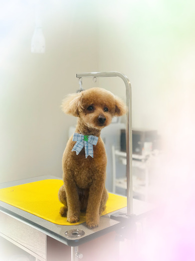 福くん♪