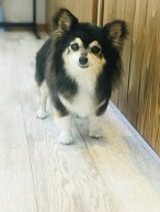 なっちゃん♡