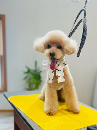 ライムくん♪