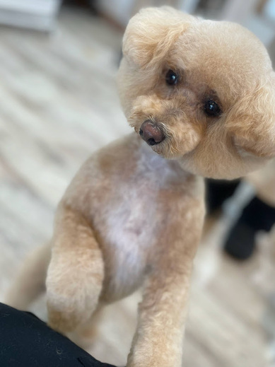 サラちゃん♡