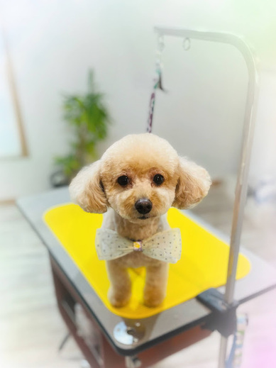 こまちゃん♡