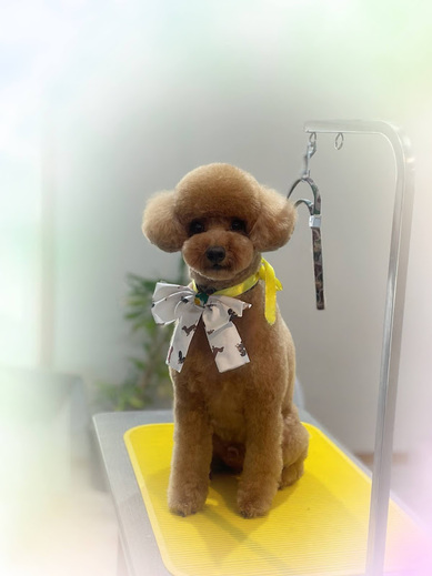 モカくん♪