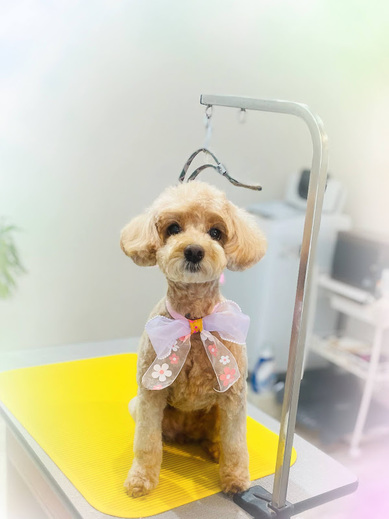 ナツちゃん♡